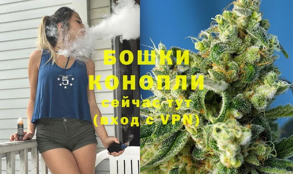прущие грибы Зерноград