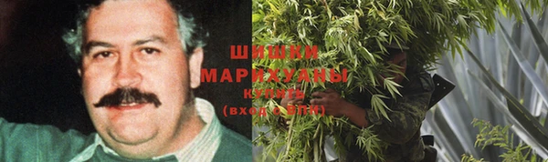 шишки Алексеевка