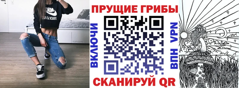 Галлюциногенные грибы MAGIC MUSHROOMS  ссылка на мегу вход  Ишим 