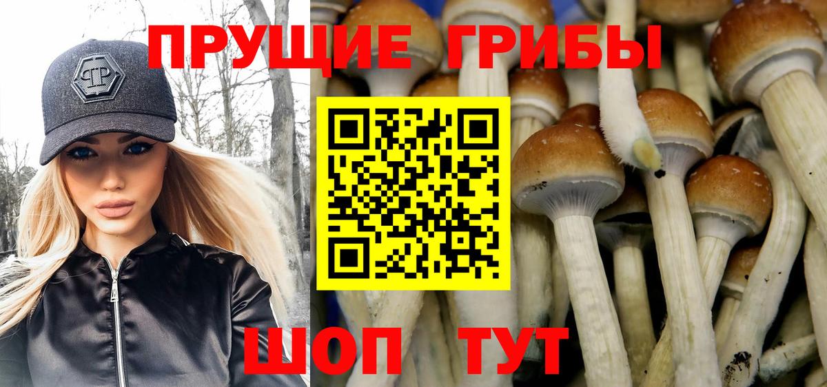 Галлюциногенные грибы мухоморы Ишим